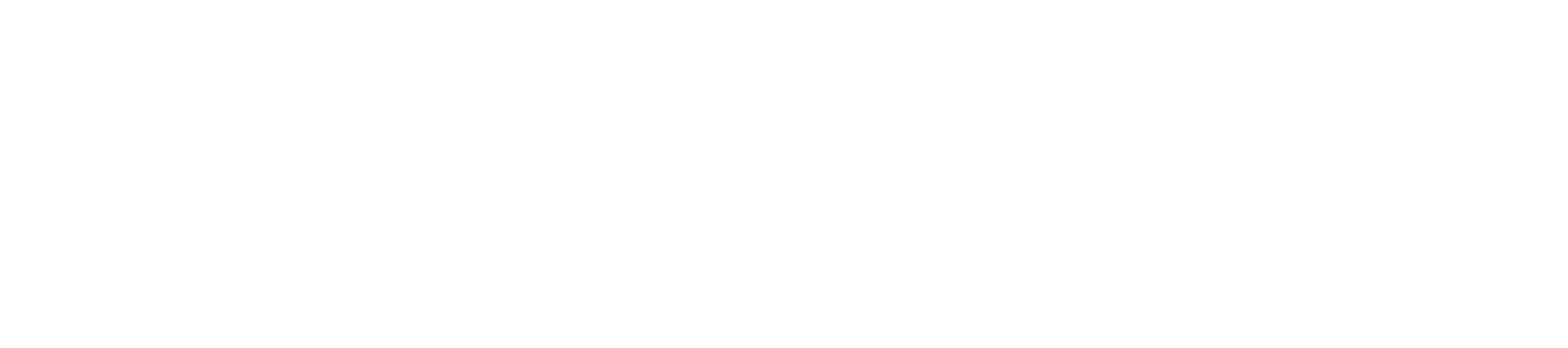 Ngunzi and Associates